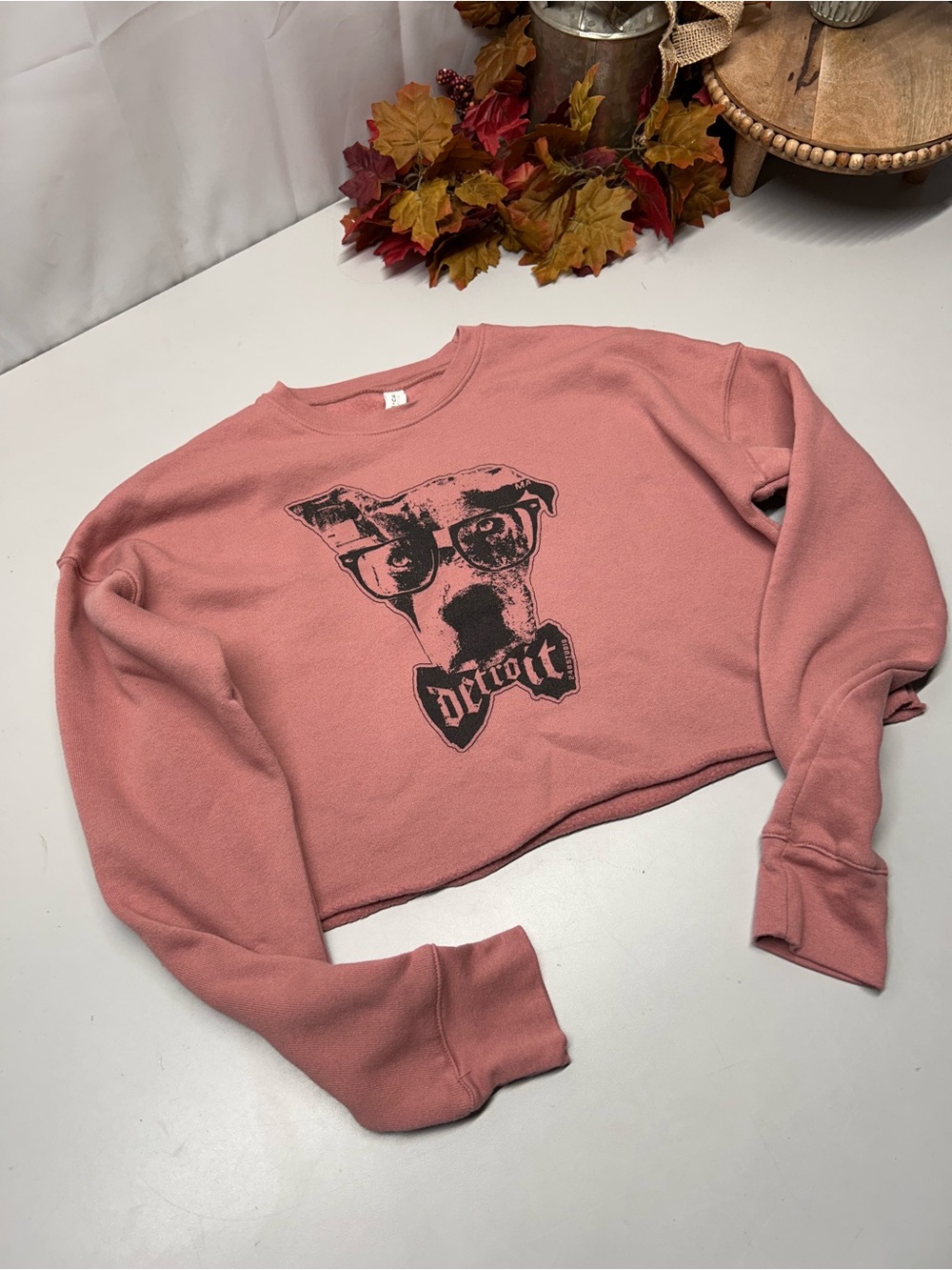 Bella Canvas Detroit Crewneck Sweatshirt with black graphic of a dog wearing gla